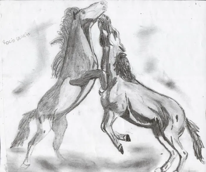 Dibujos de caballos salvajes a lapiz - Imagui Dibujos de caballos salvajes a lapiz - Imagui