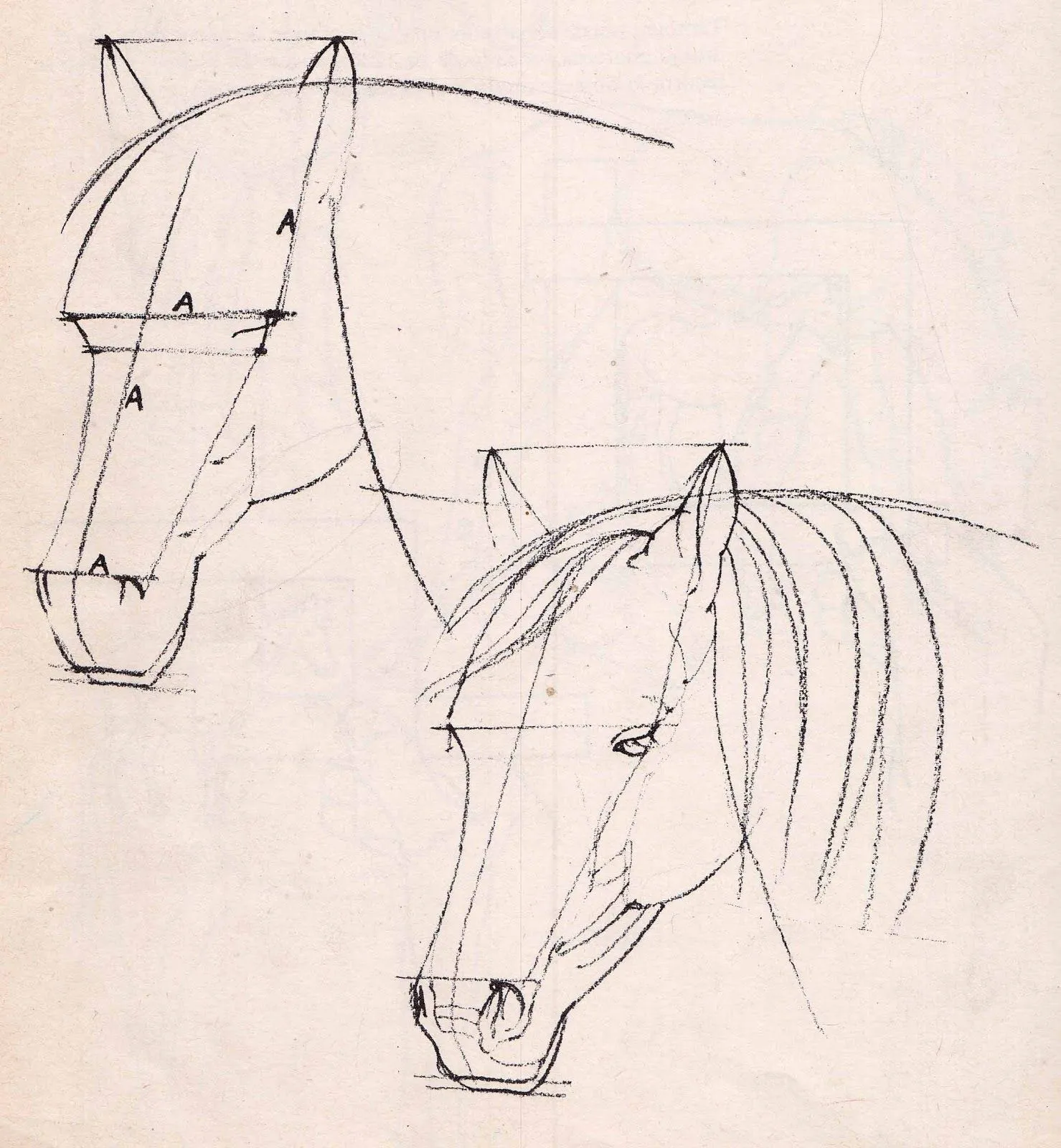 Dibujar caballos... (7) | el huerto de las artes