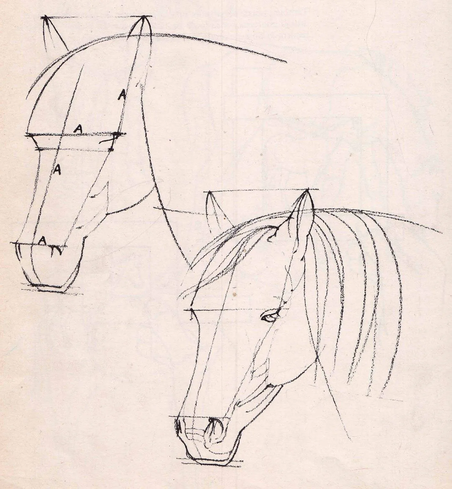 Dibujar caballos... (7) | el huerto de las artes Dibujar caballos... (7) | el huerto de las artes