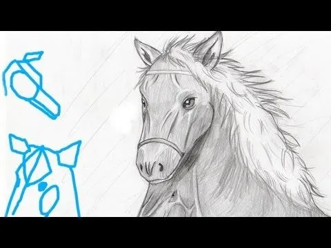 Como dibujar Caballos (Paso a Paso) - YouTube