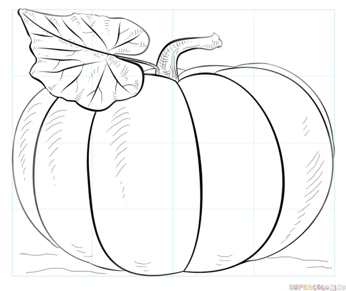Cómo dibujar una calabaza | Tutorial de dibujo paso a paso Cómo dibujar una calabaza | Tutorial de dibujo paso a paso