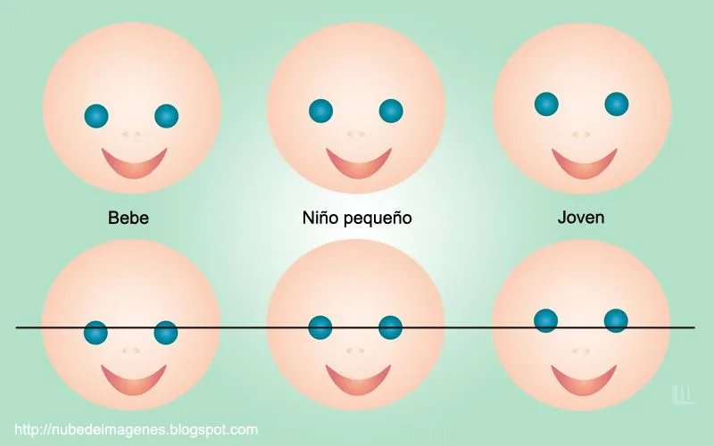 Dibujar caritas: Posición de los ojos y la edad | Nube de imágenes