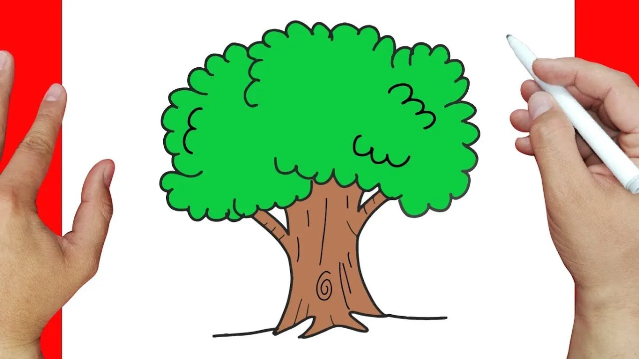 Cómo dibujar una Ceiba Simbolo patrio de Guatemala | Dibujos fáciles - YouTube Cómo dibujar una Ceiba Simbolo patrio de Guatemala | Dibujos fáciles - YouTube