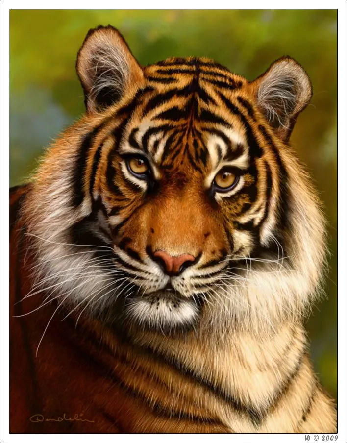 Dibujar desde cero un tigre con Corel Photopaint - Tutoriales de ...