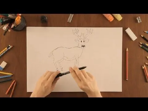 Cómo dibujar un ciervo : Dibujos de la Naturaleza - YouTube Cómo dibujar un ciervo : Dibujos de la Naturaleza - YouTube