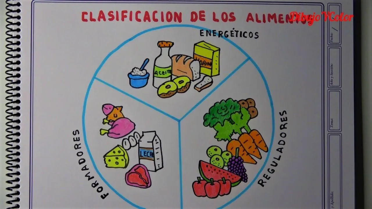 Cómo dibujar la CLASIFICACIÓN de los ALIMENTOS / How to draw the food groups - YouTube Cómo dibujar la CLASIFICACIÓN de los ALIMENTOS / How to draw the food groups - YouTube