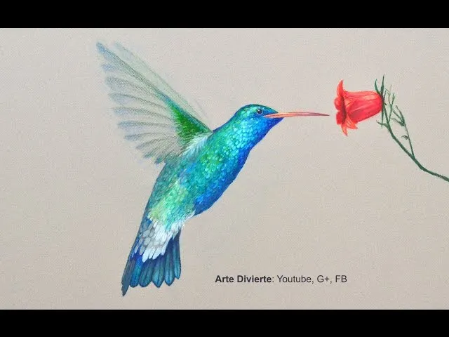 Cómo dibujar un colibrí con lápices de colores - Arte Divierte ... Cómo dibujar un colibrí con lápices de colores - Arte Divierte ...