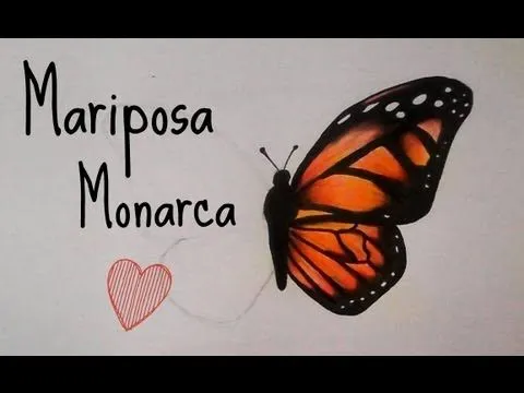 Como Dibujar y Colorear una Mariposa - YouTube Como Dibujar y Colorear una Mariposa - YouTube