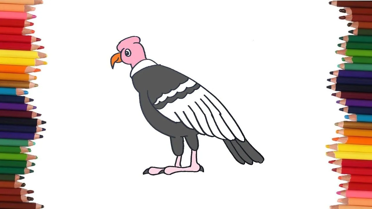 como dibujar un condor | Dibujos faciles - YouTube como dibujar un condor | Dibujos faciles - YouTube