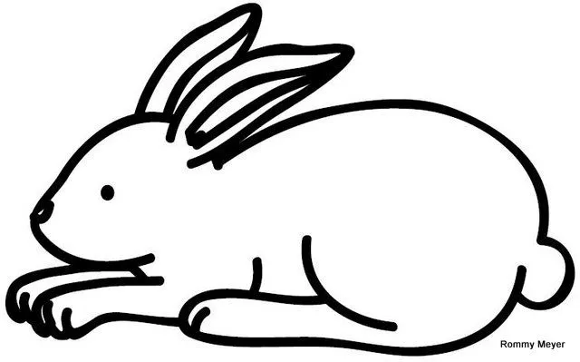 Como dibujar un conejo para niños - Imagui