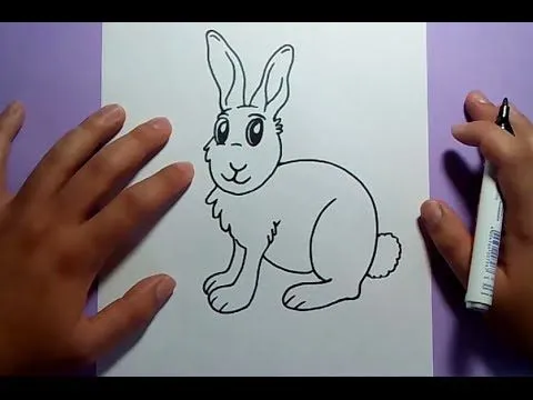 Como dibujar un conejo paso a paso 6 | How to draw a rabbit 6 ... Como dibujar un conejo paso a paso 6 | How to draw a rabbit 6 ...