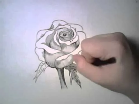 Como dibujar una rosa paso a paso - Youtube Downloader mp3