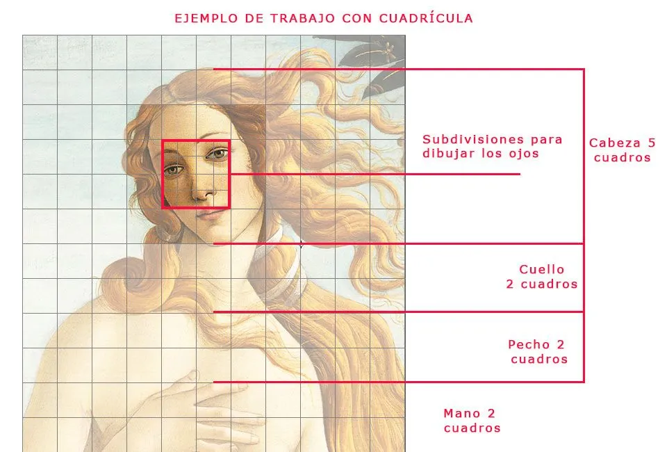 Cómo dibujar con cuadrícula paso a paso - Pintura y Artistas Cómo dibujar con cuadrícula paso a paso - Pintura y Artistas