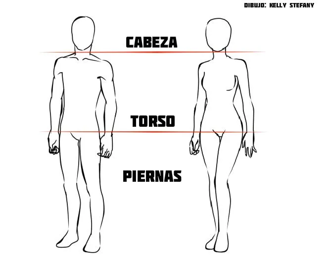 Cómo dibujar el cuerpo humano (Manga) | IlustraIdeas Cómo dibujar el cuerpo humano (Manga) | IlustraIdeas