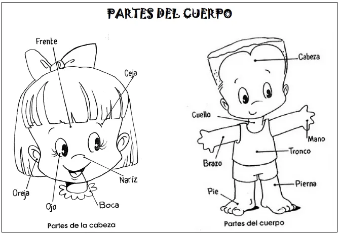 Dibujos para colorear el cuerpo humano en inglés - Imagui