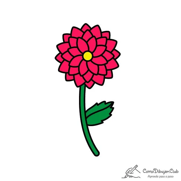 Cómo dibujar una Dalia ✍ | COMODIBUJAR.CLUB Cómo dibujar una Dalia ✍ | COMODIBUJAR.CLUB