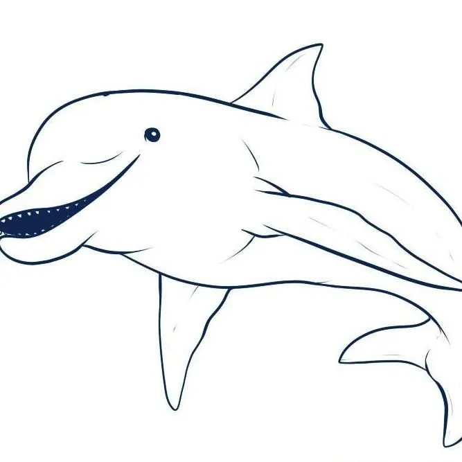 Delfin rosado dibujo para colorear - Imagui