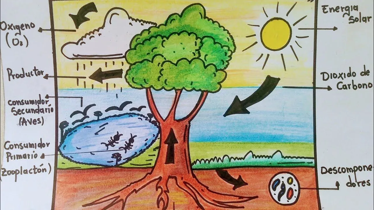 cómo dibujar un ecosistema súper fácil... - YouTube cómo dibujar un ecosistema súper fácil... - YouTube