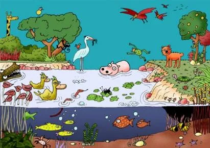 Ecosistema terrestre dibujo - Imagui