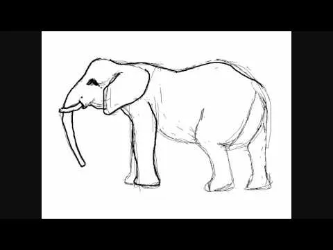 Dibujar elefantes - Dibujos para Pintar - YouTube