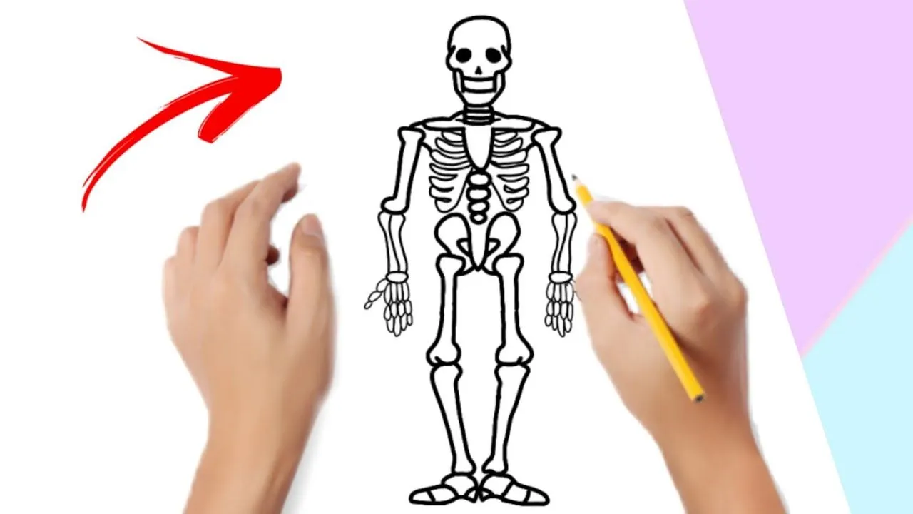 Cómo dibujar un esqueleto fácil , paso a paso • How ti draw a skeleton Easy step by step - YouTube Cómo dibujar un esqueleto fácil , paso a paso • How ti draw a skeleton Easy step by step - YouTube