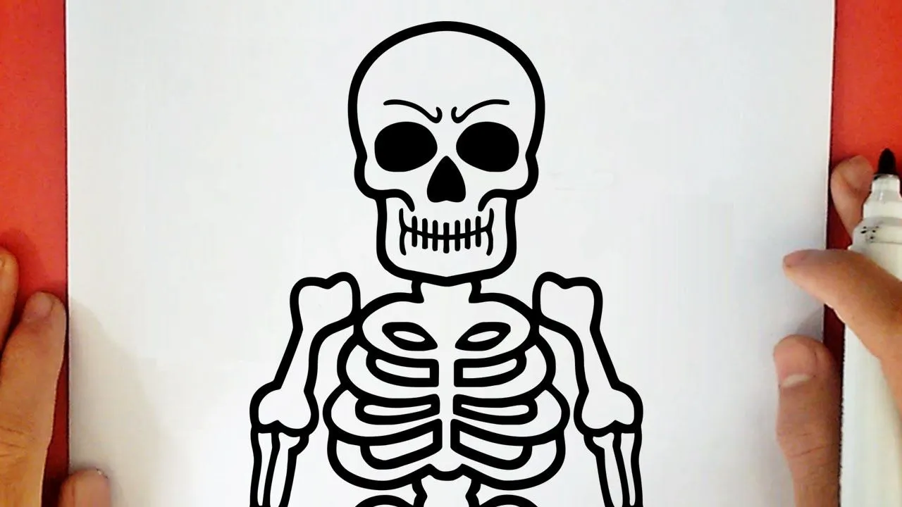 COMO DIBUJAR UN ESQUELETO - YouTube
