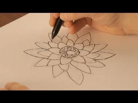 Cómo dibujar una flor de loto : Dibujos de la Naturaleza - YouTube Cómo dibujar una flor de loto : Dibujos de la Naturaleza - YouTube