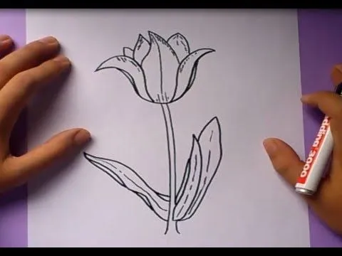 Como dibujar una flor paso a paso 3 | How to draw a flower 3 - YouTube