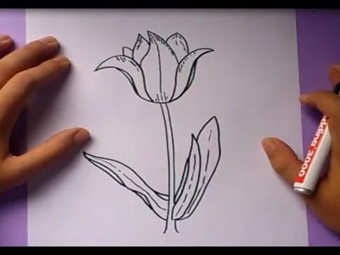 Como dibujar una flor paso a paso 3 | How to draw a flower 3 - YouTube Como dibujar una flor paso a paso 3 | How to draw a flower 3 - YouTube