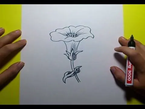Como dibujar una flor paso a paso 8 | How to draw a flower 8 - YouTube Como dibujar una flor paso a paso 8 | How to draw a flower 8 - YouTube