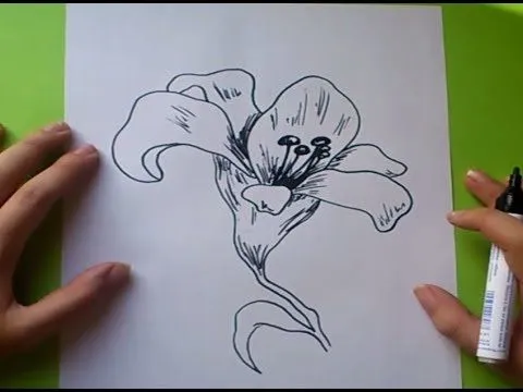 Como dibujar una flor paso a paso 6 | How to draw a flower 6 - YouTube Como dibujar una flor paso a paso 6 | How to draw a flower 6 - YouTube