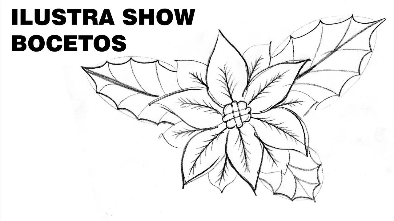 Cómo dibujar FLORES de NOCHEBUENA NAVIDEÑAS 2 Tutorial ILUSTRA ...