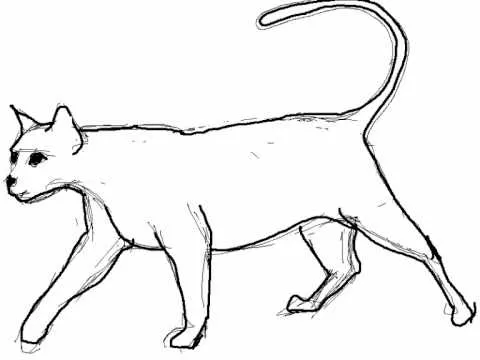 Como dibujar un gato paso a paso - Dibujos de animales - YouTube Como dibujar un gato paso a paso - Dibujos de animales - YouTube
