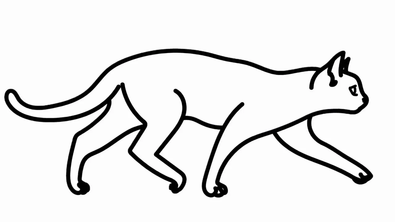 Como Dibujar un Gato Salvaje Facil | Dibujo de Gato | Colorear Dibujos para Pintar - YouTube Como Dibujar un Gato Salvaje Facil | Dibujo de Gato | Colorear Dibujos para Pintar - YouTube