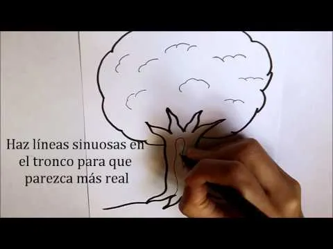 Cómo dibujar Hojas de Otoño Dibuja Conmigo Dibujos de Otoño ... Cómo dibujar Hojas de Otoño Dibuja Conmigo Dibujos de Otoño ...