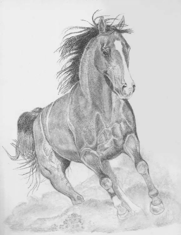 Cómo dibujar a lápiz un caballo - Dibujos a lapiz