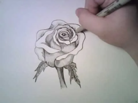 Cómo dibujar a lápiz una rosa - Dibujos a lapiz Cómo dibujar a lápiz una rosa - Dibujos a lapiz