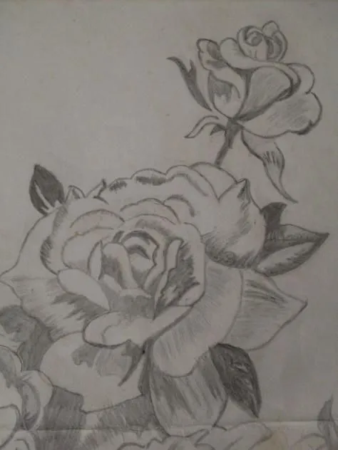 Cómo dibujar a lápiz una rosa - Dibujos a lapiz