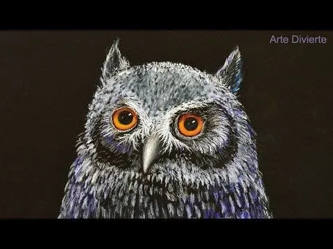 Cómo dibujar una lechuza de noche - Arte Divierte. - YouTube