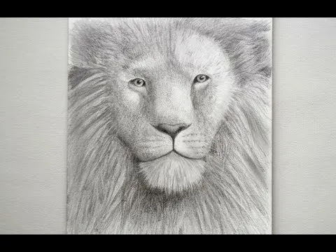 Cómo dibujar un León - Arte Divierte. - YouTube