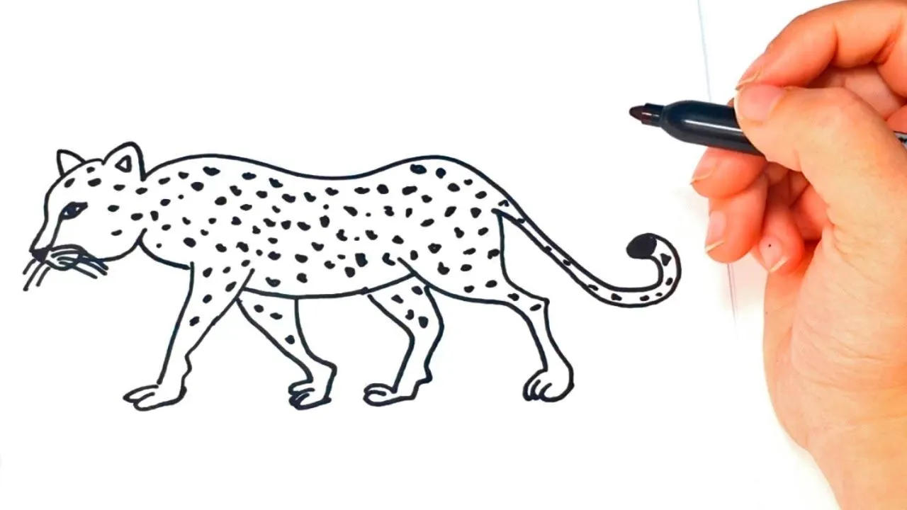 Cómo dibujar un Leopardo paso a paso | Dibujo fácil de Leopardo - YouTube