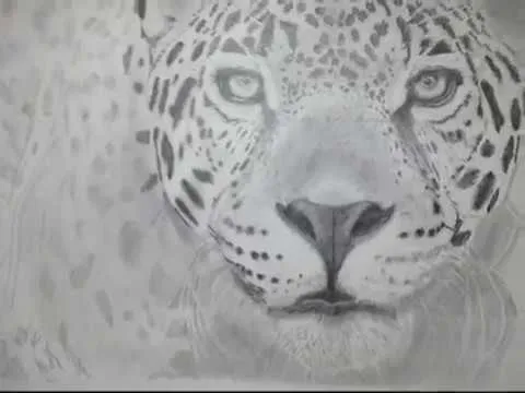 Cómo dibujar un leopardo, y, parejas de novios a lápiz de grafito ...