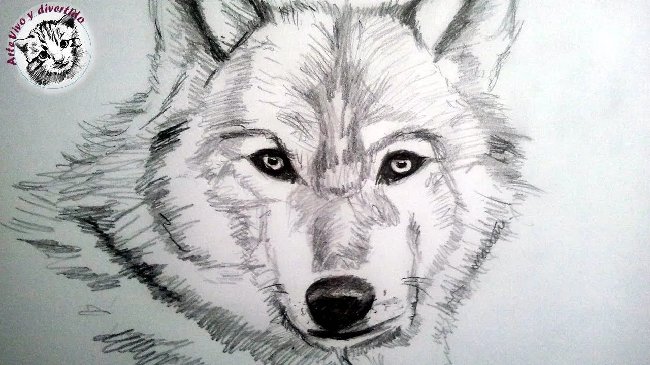Como dibujar un lobo a lapiz, paso a paso: Como dibujar animales ... Como dibujar un lobo a lapiz, paso a paso: Como dibujar animales ...