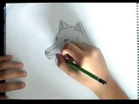 Como Dibujar un Lobo-Paso a Paso!! - YouTube