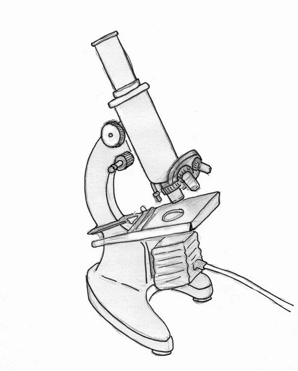Cómo dibujar un microscopio | eHow en Español Cómo dibujar un microscopio | eHow en Español