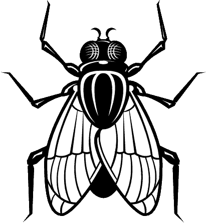 Imágen de una mosca para colorear - Imagui