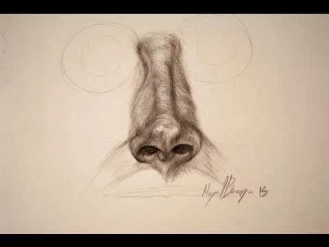 como dibujar una nariz realista con lapices de colores - YouTube como dibujar una nariz realista con lapices de colores - YouTube