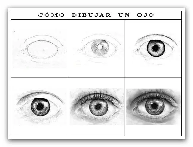 dibujar ojos humanos paso a paso - Buscar con Google | Dibujo ...