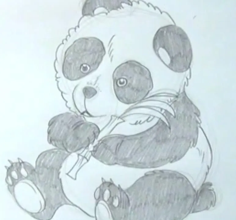 Cómo dibujar un oso panda