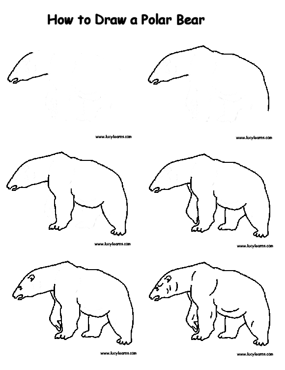 aprender a dibujar: Como dibujar un oso polar